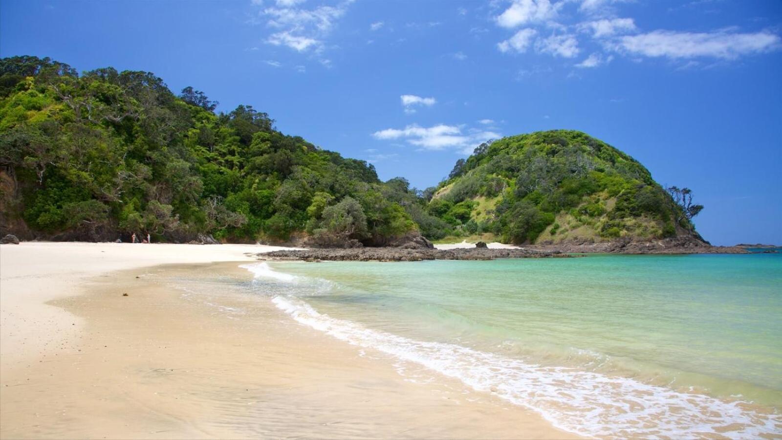 Bk'S Pohutukawa Lodge Whangarei Ngoại thất bức ảnh